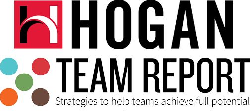 Hogan Team Development at Droste Group